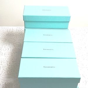 Authentic Tiffany & Co. Gift Box.